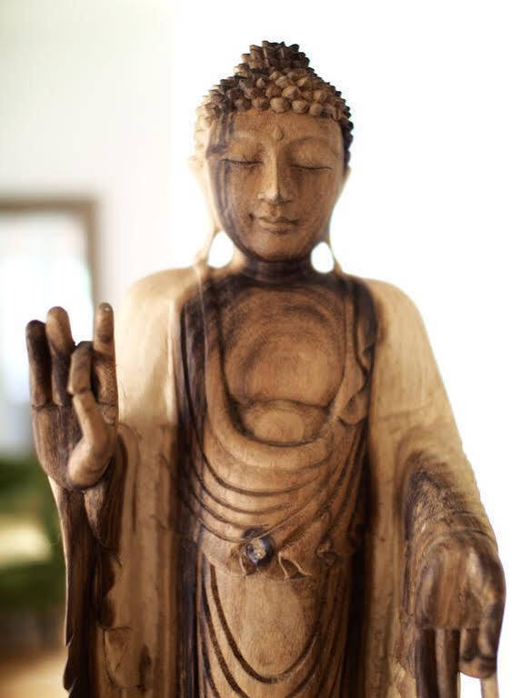 哈洛惊叹旅馆住宿加早餐旅馆 外观 照片